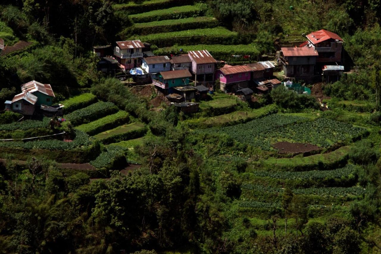 Yashita Homestay Дарджилинг Экстерьер фото